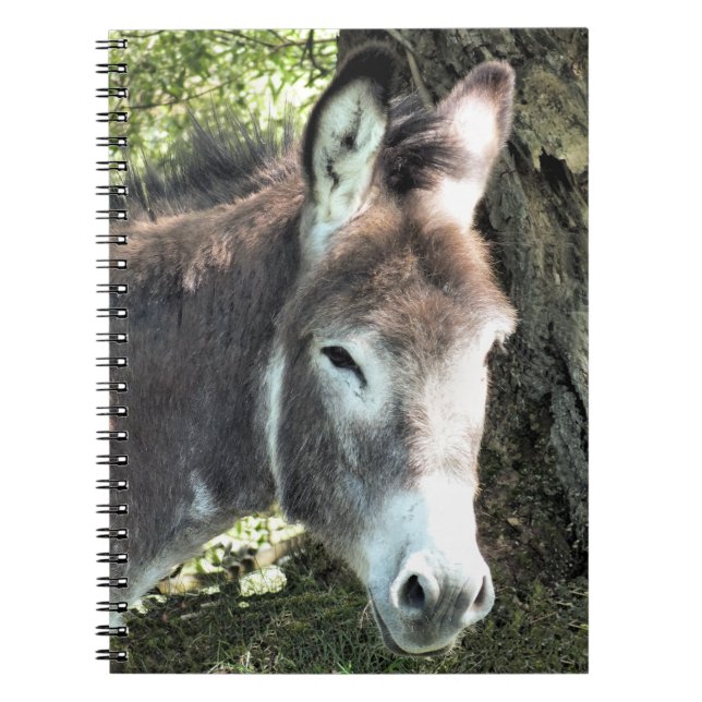 CADERNO ESPIRAL DONKEY (Frente)