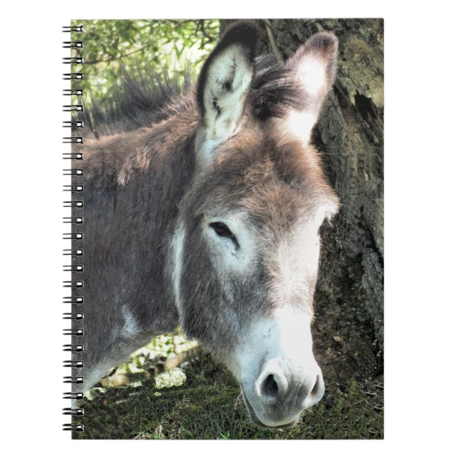 CADERNO ESPIRAL DONKEY (Frente)