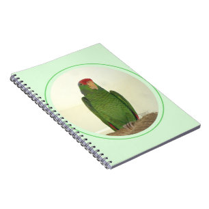 Caderno Espiral Dooley, o papagaio