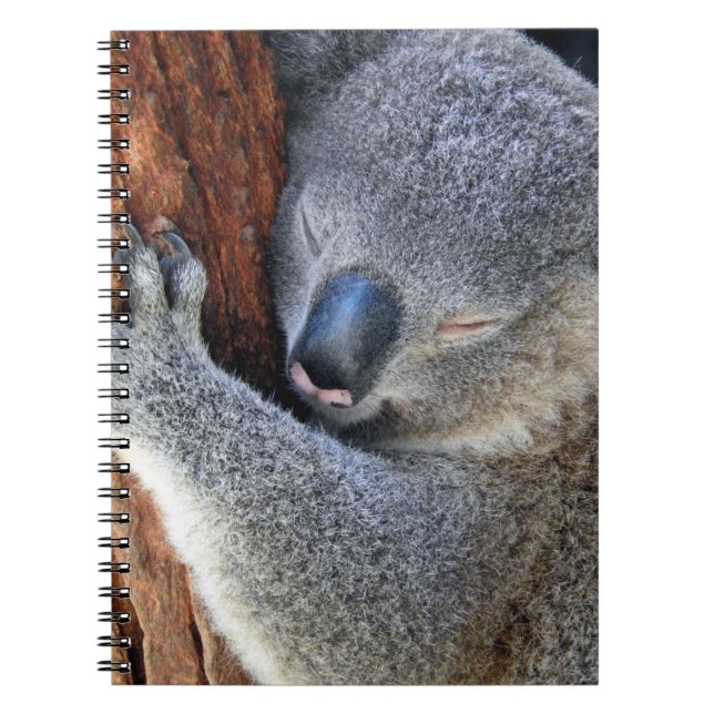 Caderno Espiral Dormindo Koala (Frente)