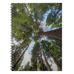 Caderno Espiral dossel