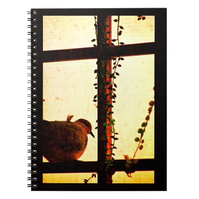 Caderno Espiral Dove em uma tempestade de poeira (Frente)