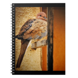 Caderno Espiral Doze