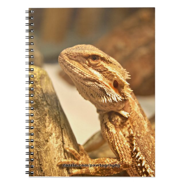 Caderno Espiral Dragão farpado (Frente)