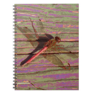Caderno Espiral Dragonfly Colorful