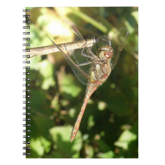 Caderno Espiral Dragonfly em um notebook Twig (Frente)