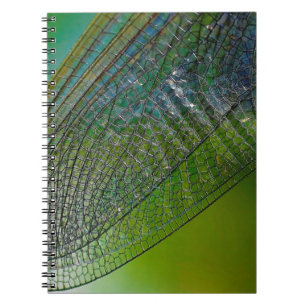 Caderno Espiral Dragonfly wings nature close insect
