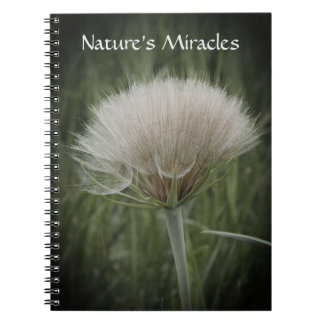Caderno Espiral Dramatic Puff Spiral Photo Notebook