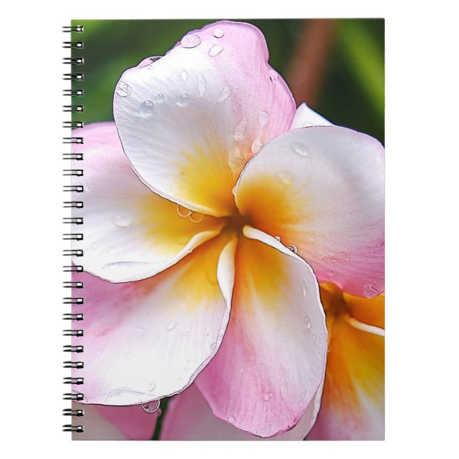 Caderno Espiral Dream Palette: Franjipani flower (Frente)