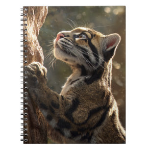 Caderno Espiral Dreamot Escalando a Arte Leve da Floresta