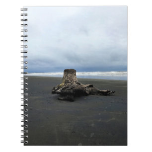 Caderno Espiral Driftwood na praia de Benson, no Cabo Desapontado,
