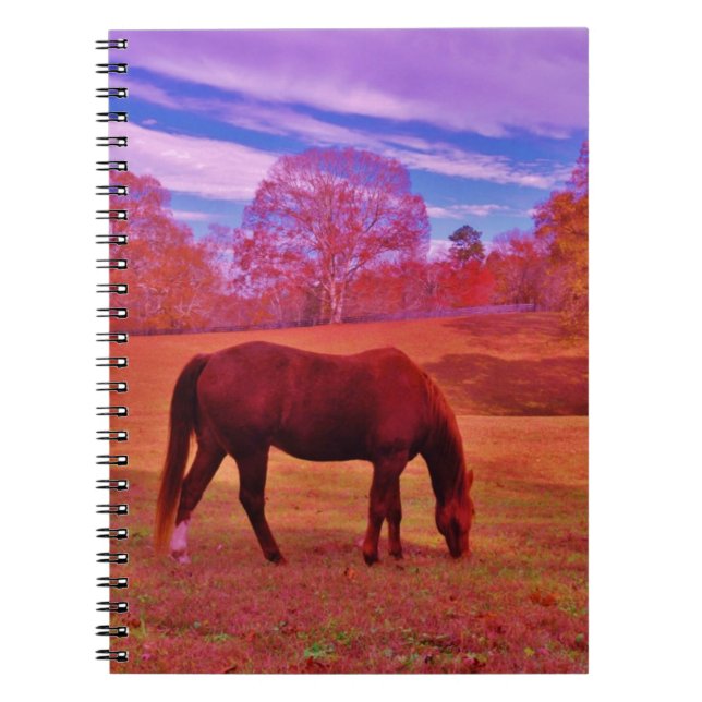 CADERNO ESPIRAL DSCF0536.JPG (Frente)