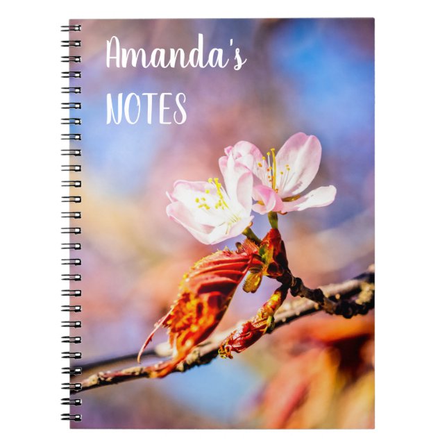 Caderno Espiral Duas Incríveis Flores Sakura. Cor-de-rosa, fundo a (Frente)