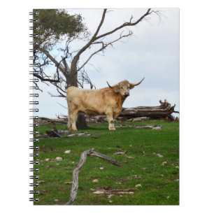 Caderno Espiral Duas Vacas Terrestres Cultivadas em Terras Agrícol
