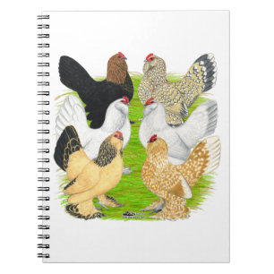 Caderno Espiral D'Uccles seis galinhas
