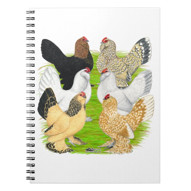 Caderno Espiral D'Uccles Seis Hens (Frente)