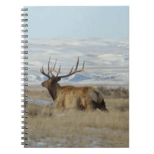 Caderno Espiral E22 Alce Macho e Colinas Nevadas