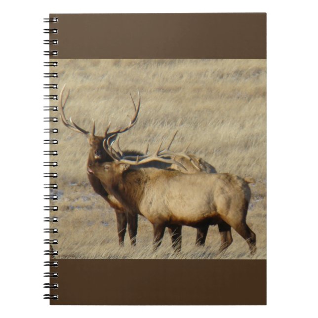 Caderno Espiral E24 Alce Macho (Frente)
