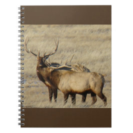 Caderno Espiral E24 Touro Elk