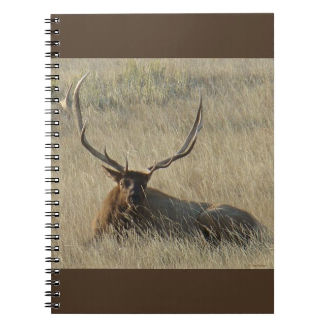 Caderno Espiral E25 Touro Elk em Grama (Frente)