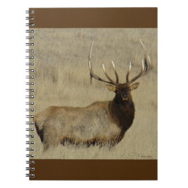 Caderno Espiral E30 Alce Touro Grande Touro