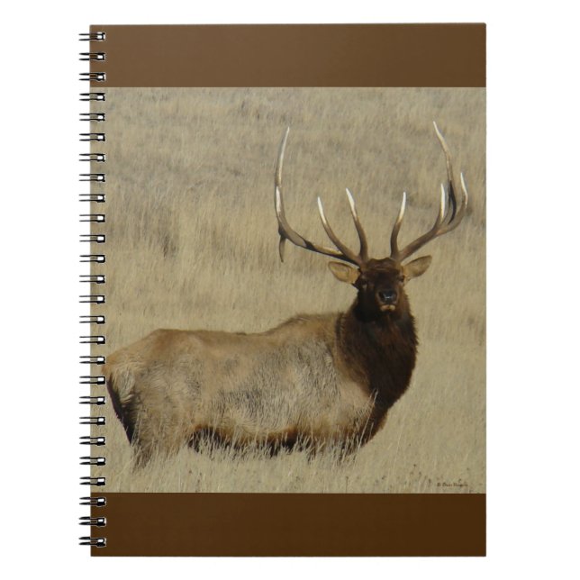 Caderno Espiral E30 Alce Touro Grande Touro (Frente)
