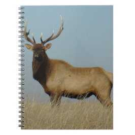Caderno Espiral E43 Alce Touro Linhado ao Céu