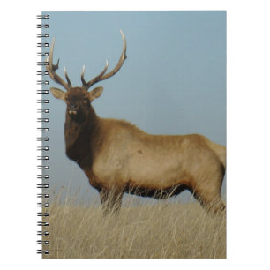 Caderno Espiral E43 Alce Touro Linhado ao Céu
