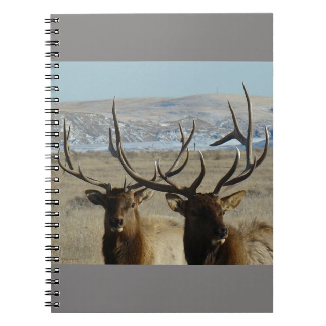 Caderno Espiral E45 Cabeças Bull Elk (Frente)
