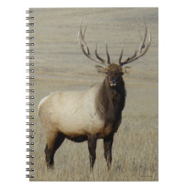 Caderno Espiral E46 Bull Elk Big Bull