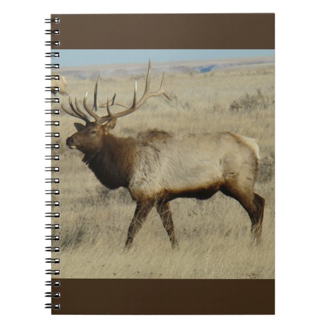 Caderno Espiral E55 Alce Macho (Frente)