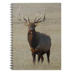 Caderno Espiral E59 Alce Macho