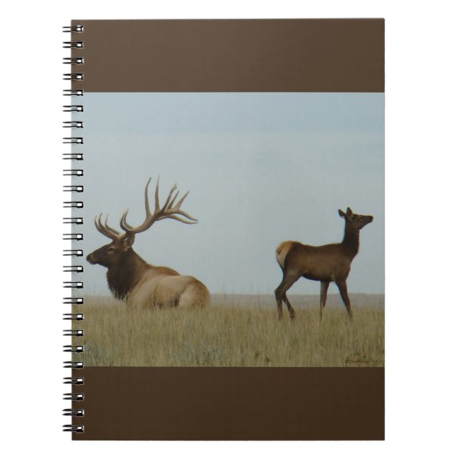 Caderno Espiral E5 Touro Alce e Jovem (Frente)