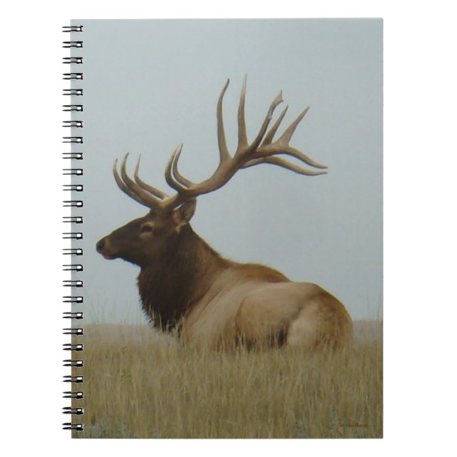 Caderno Espiral E5a Alce Touro Grande Touro (Frente)