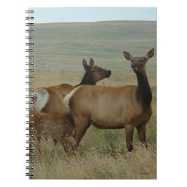 Caderno Espiral E61 Alce Fêmea e Bezerro