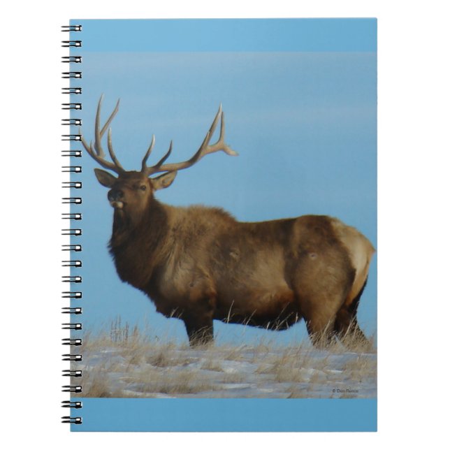 Caderno Espiral E62 Bull Elk Sky Lined (Frente)