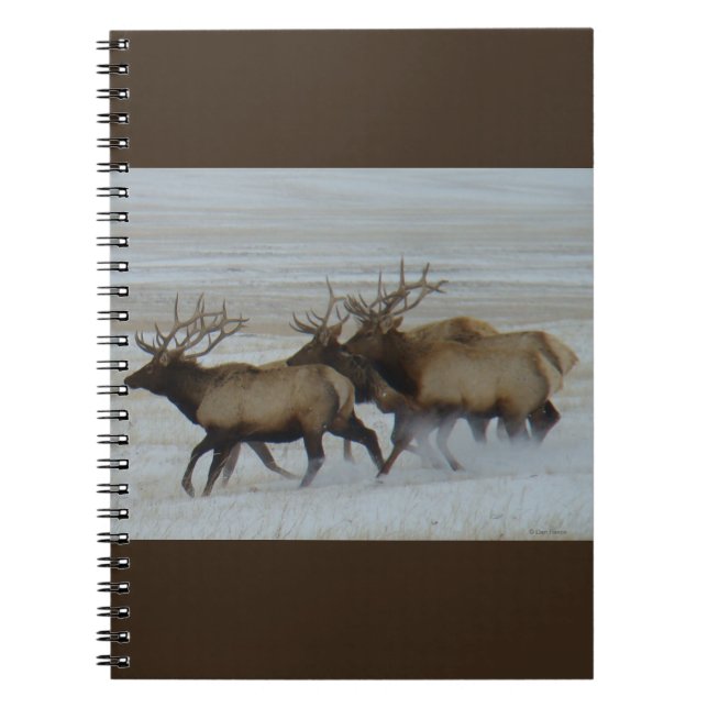 Caderno Espiral E64 Alce Touro Correndo na Neve (Frente)