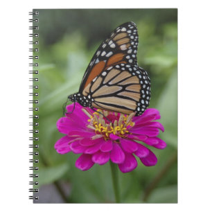 Caderno Espiral E.U.A., Massachusetts, Boylston, Tower Hill