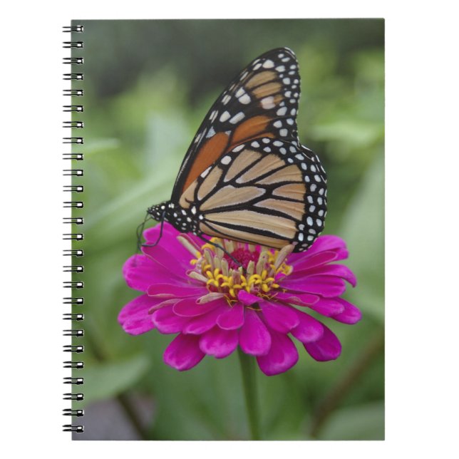 Caderno Espiral E.U.A., Massachusetts, Boylston, Tower Hill (Frente)