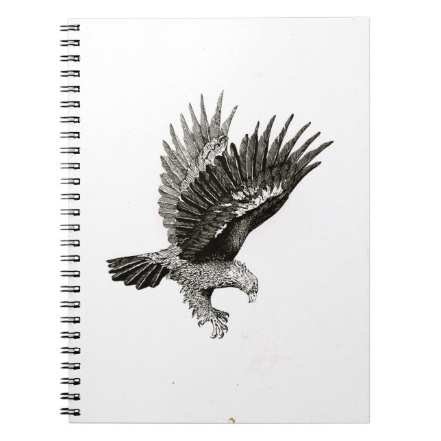 Caderno Espiral                                  Eagle by Light (Frente)
