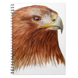 Caderno Espiral Eagle dourado 2011
