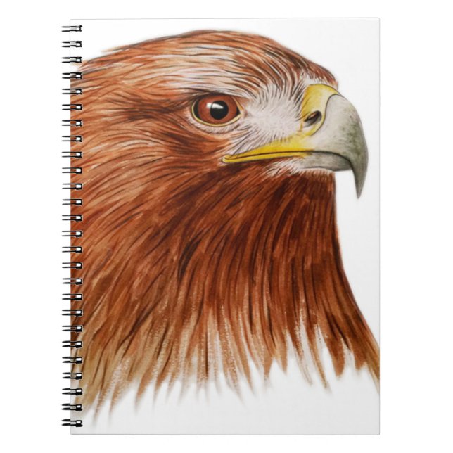 Caderno Espiral Eagle dourado 2011 (Frente)
