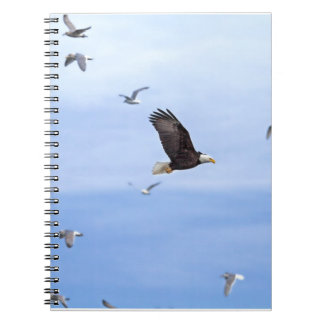 Caderno Espiral Eagle e voo das gaivotas