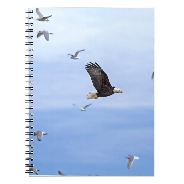 Caderno Espiral Eagle e voo das gaivotas (Frente)