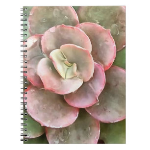 Caderno Espiral Echeveria Cactus - Pintura acrílica suculenta