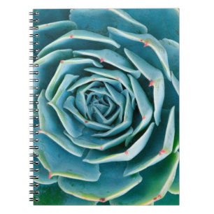 Caderno Espiral Echeveria Roseta, Jardim Secreto de Marrakech