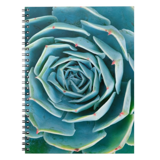 Caderno Espiral Echeveria Roseta, Jardim Secreto de Marrakech (Frente)