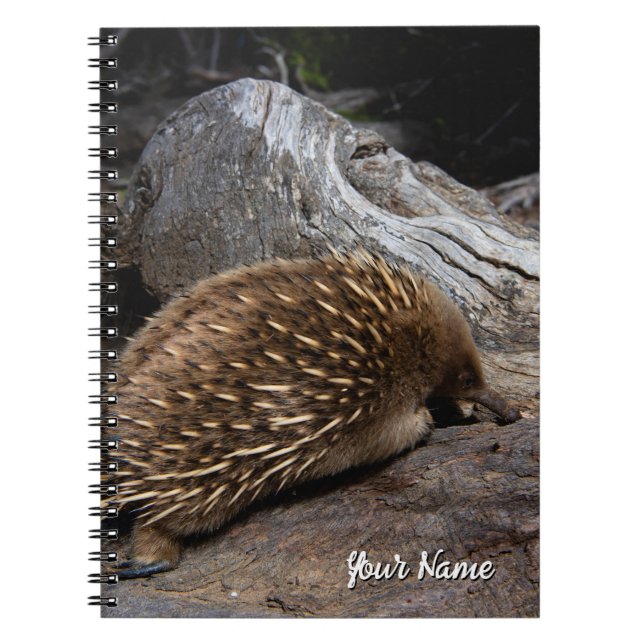 Caderno Espiral Echidna Austrália (Frente)