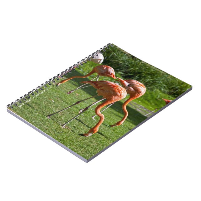 Caderno Espiral Efeito de desenho de retrato de Flamingo Rosa Arte (Left Side)