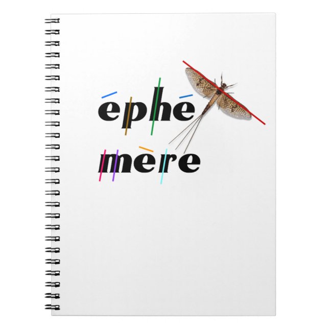 Caderno Espiral efémero instantâneo (Frente)